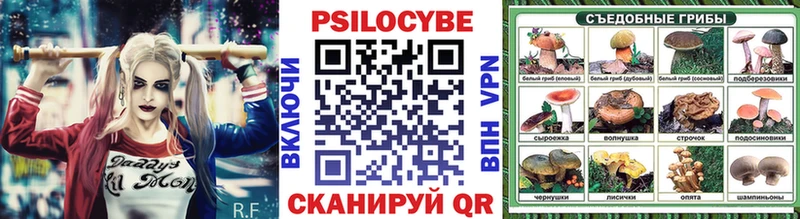 закладка  Петров Вал  мориарти какой сайт  Псилоцибиновые грибы Psilocybine cubensis 